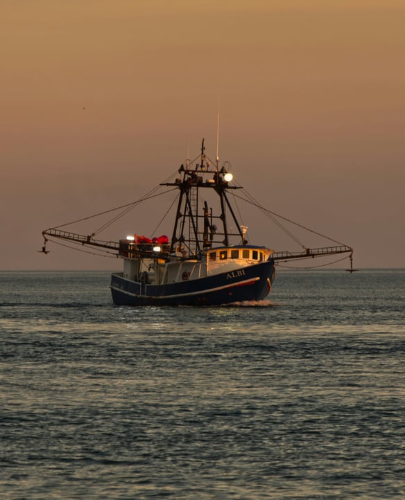A Working Waterfront.